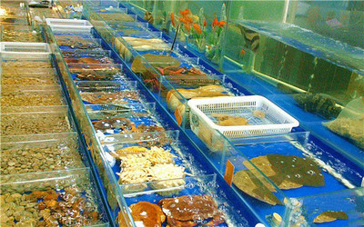 水产品与水产商行 市场现状与发展前景