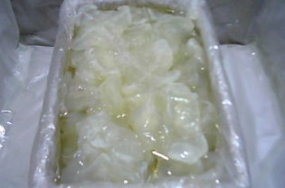 大连特产 爽脆鲜美的腌制海蜇头，尽显海洋馈赠的魅力