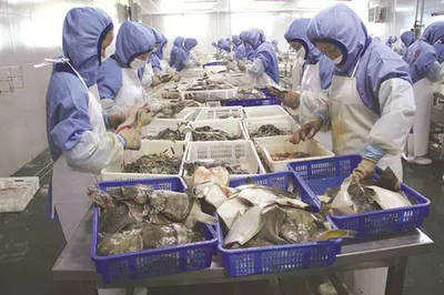 最严制裁下的朝鲜水产品 出口之路受阻与行业困境