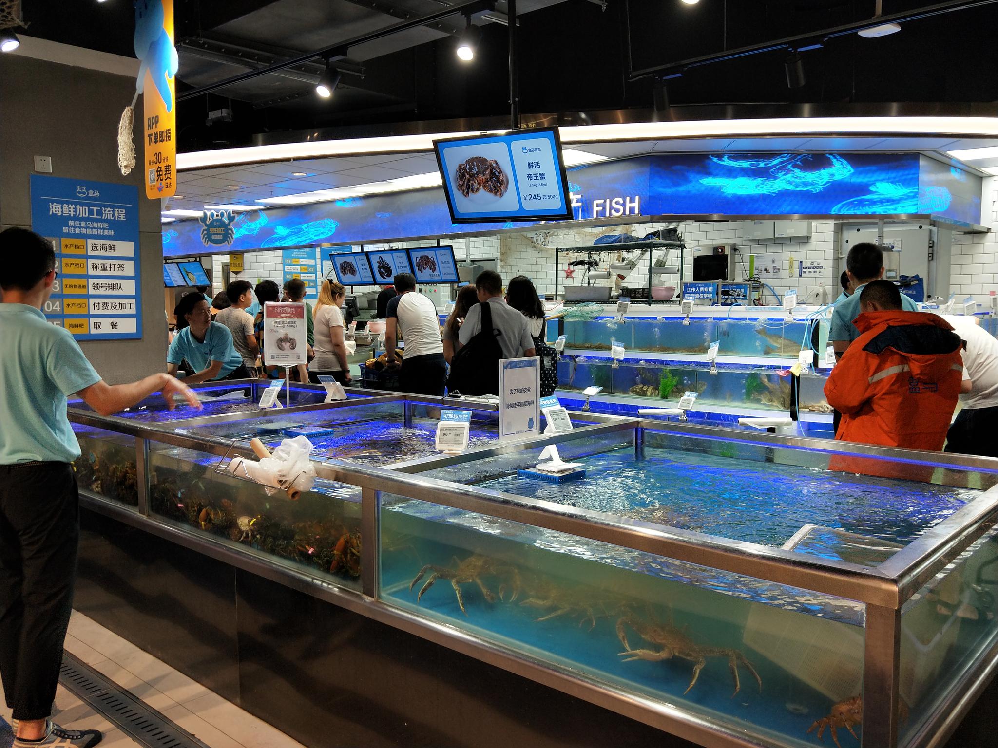 盒马鲜生加速扩张 水产品战略布局背后的新零售逻辑