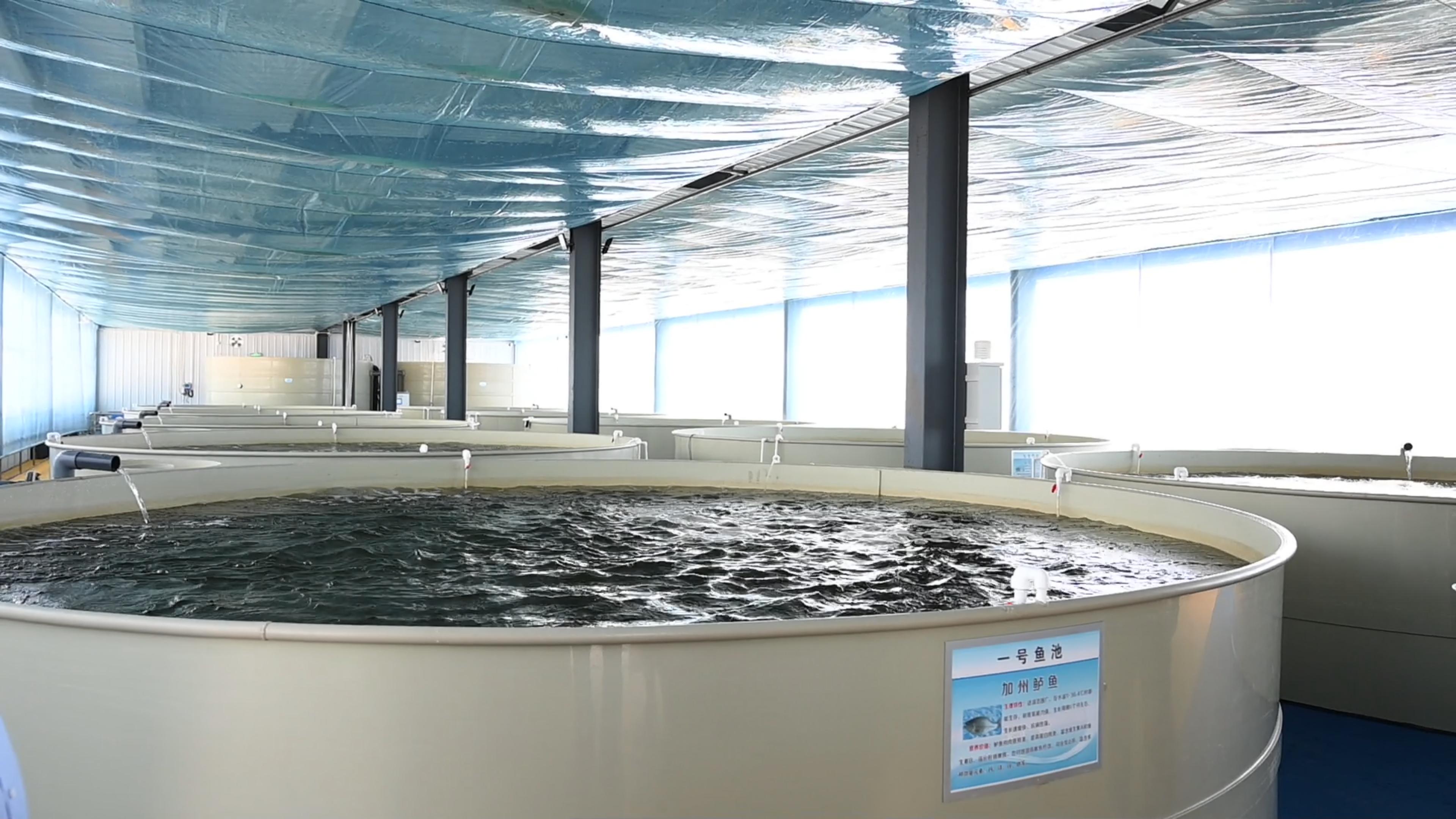 陕西神木市尔林兔镇 人居环境展新颜 乡村振兴靓底色