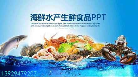 澳虾与加鲜，如何选择上海专业进口通关伙伴？